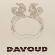 Davoud Shirkhani